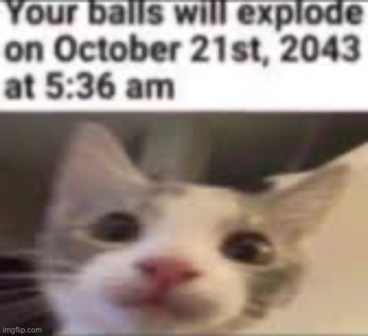 They will | image tagged in balls,explode | made w/ Imgflip meme maker