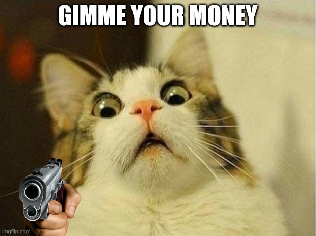 Scared Cat | GIMME YOUR MONEY | image tagged in memes,scared cat | made w/ Imgflip meme maker