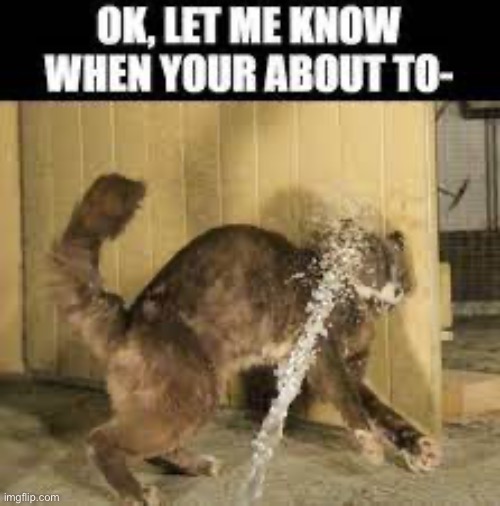 ?? | made w/ Imgflip meme maker