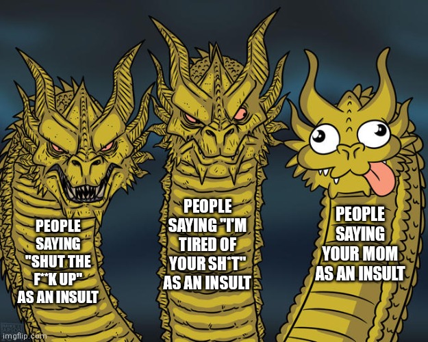 Many types of insults | PEOPLE SAYING "I'M TIRED OF YOUR SH*T" AS AN INSULT; PEOPLE SAYING YOUR MOM AS AN INSULT; PEOPLE SAYING "SHUT THE F**K UP" AS AN INSULT | image tagged in three-headed dragon,memes | made w/ Imgflip meme maker