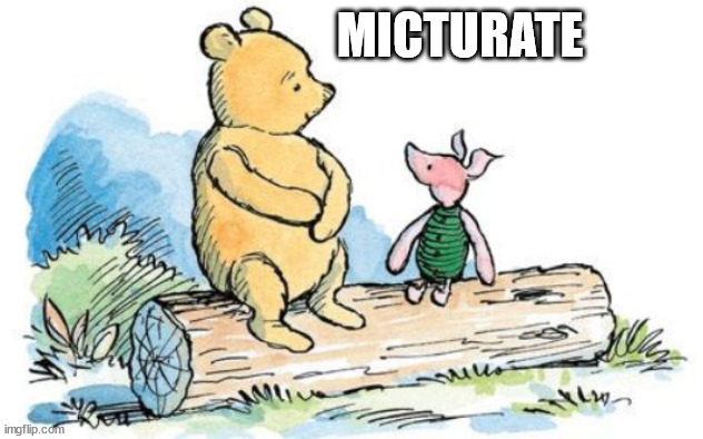 winnie the pooh and piglet | MICTURATE | image tagged in winnie the pooh and piglet | made w/ Imgflip meme maker