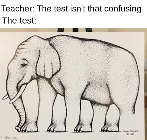 Yeah this test ain't confusing | Teacher: The test isn't that confusing; The test: | image tagged in school,test,confused | made w/ Imgflip meme maker