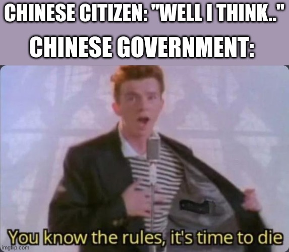 "well in my opinion------" | CHINESE CITIZEN: "WELL I THINK.."; CHINESE GOVERNMENT: | image tagged in you know the rules it's time to die | made w/ Imgflip meme maker