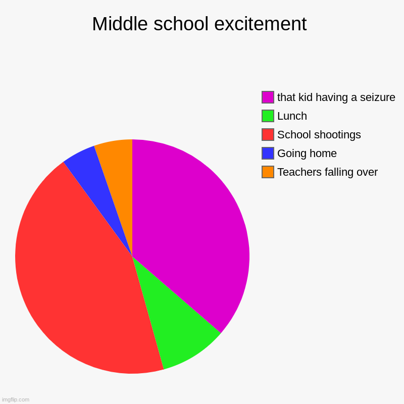 yas | Middle school excitement | Teachers falling over, Going home, School shootings, Lunch, that kid having a seizure | image tagged in charts,pie charts | made w/ Imgflip chart maker