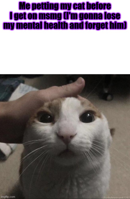 Goodbye forever | Me petting my cat before I get on msmg (I'm gonna lose my mental health and forget him) | image tagged in me petting my cat | made w/ Imgflip meme maker