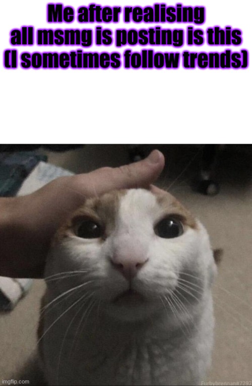 me petting my cat | Me after realising all msmg is posting is this (I sometimes follow trends) | image tagged in me petting my cat | made w/ Imgflip meme maker