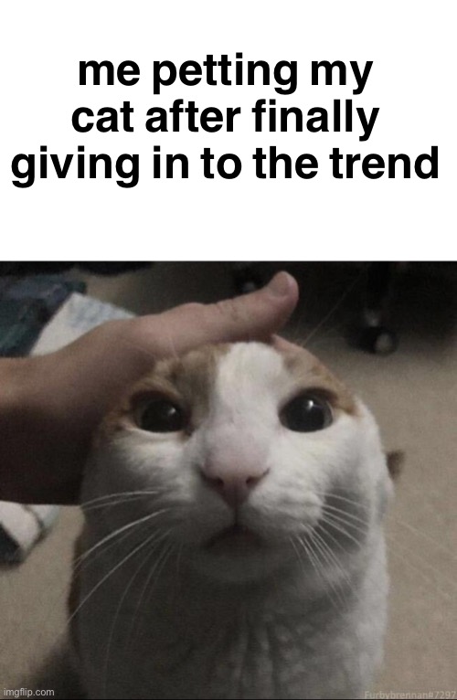 me petting my cat | me petting my cat after finally giving in to the trend | image tagged in me petting my cat | made w/ Imgflip meme maker