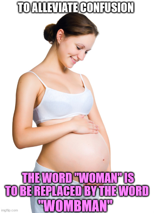 Woman vs Wombman |  TO ALLEVIATE CONFUSION; THE WORD "WOMAN" IS TO BE REPLACED BY THE WORD; "WOMBMAN" | image tagged in pregnant woman,trans,transgender,lgbtqia,lgbtq | made w/ Imgflip meme maker