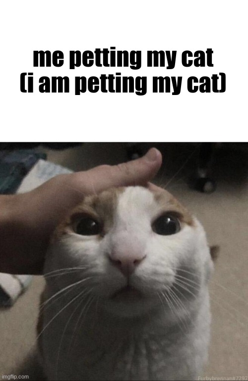 cat tren | me petting my cat (i am petting my cat) | image tagged in me petting my cat | made w/ Imgflip meme maker