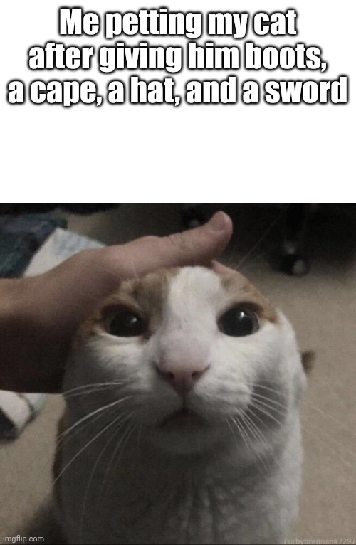 me petting my cat | Me petting my cat after giving him boots, a cape, a hat, and a sword | image tagged in me petting my cat | made w/ Imgflip meme maker