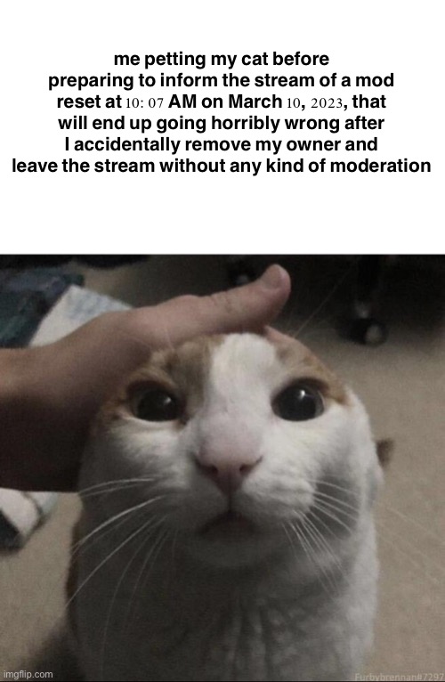 me petting my cat | me petting my cat before preparing to inform the stream of a mod reset at 10:07 AM on March 10, 2023, that will end up going horribly wrong after I accidentally remove my owner and leave the stream without any kind of moderation | image tagged in me petting my cat | made w/ Imgflip meme maker