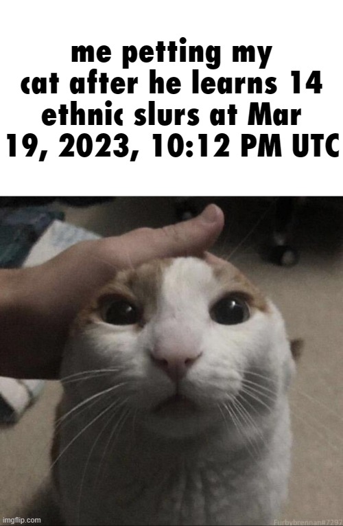 me petting my cat | me petting my cat after he learns 14 ethnic slurs at Mar 19, 2023, 10:12 PM UTC | made w/ Imgflip meme maker