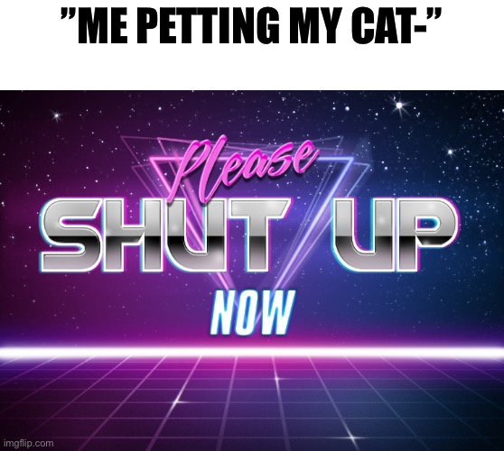 Please shut up now | ”ME PETTING MY CAT-” | image tagged in please shut up now | made w/ Imgflip meme maker