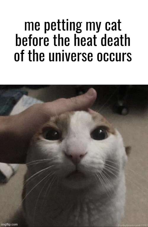 me petting my cat | me petting my cat before the heat death of the universe occurs | image tagged in me petting my cat | made w/ Imgflip meme maker