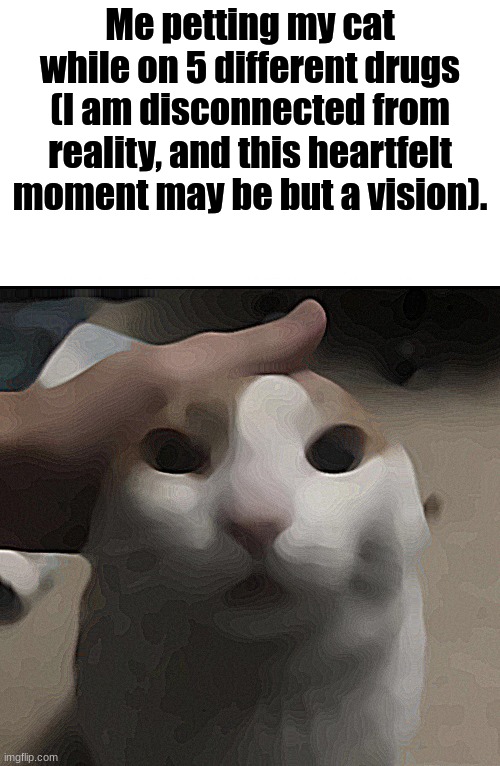 cat | Me petting my cat while on 5 different drugs (I am disconnected from reality, and this heartfelt moment may be but a vision). | made w/ Imgflip meme maker