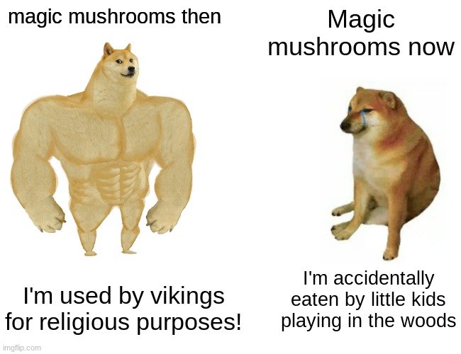 Buff Doge vs. Cheems | magic mushrooms then; Magic mushrooms now; I'm accidentally eaten by little kids playing in the woods; I'm used by vikings for religious purposes! | image tagged in memes,buff doge vs cheems | made w/ Imgflip meme maker