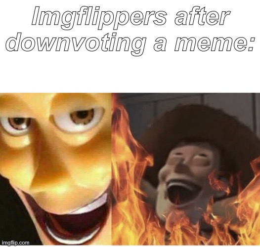 *proceeds to downvote* | Imgflippers after downvoting a meme: | image tagged in fire woody | made w/ Imgflip meme maker