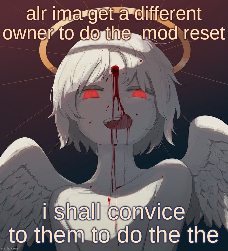 Avogado6 | alr ima get a different owner to do the  mod reset; i shall convice to them to do the the | image tagged in avogado6 | made w/ Imgflip meme maker
