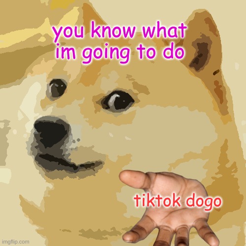 tiktock dogo | you know what im going to do; tiktok dogo | image tagged in memes,doge | made w/ Imgflip meme maker