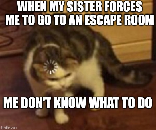 Loading cat | WHEN MY SISTER FORCES ME TO GO TO AN ESCAPE ROOM; ME DON'T KNOW WHAT TO DO | image tagged in loading cat | made w/ Imgflip meme maker