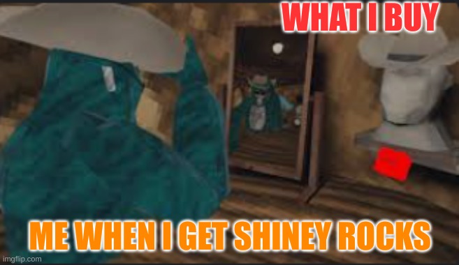 Gorilla tag | WHAT I BUY; ME WHEN I GET SHINEY ROCKS | image tagged in vr | made w/ Imgflip meme maker