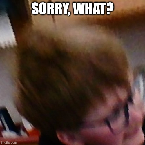 what | SORRY, WHAT? | image tagged in what | made w/ Imgflip meme maker