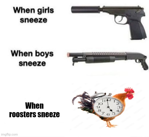 Roosters | When roosters sneeze | image tagged in when girls sneeze when boys sneeze,rooster,roosters,memes,sneeze,rooster alarm clock | made w/ Imgflip meme maker