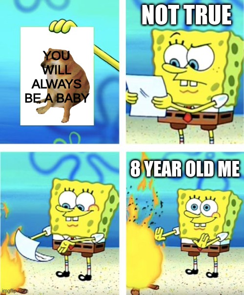 True | NOT TRUE; YOU WILL ALWAYS BE A BABY; 8 YEAR OLD ME | image tagged in spongebob burning paper | made w/ Imgflip meme maker