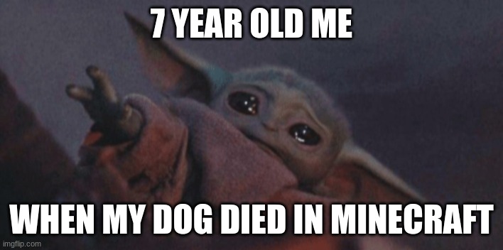 Baby yoda cry | 7 YEAR OLD ME; WHEN MY DOG DIED IN MINECRAFT | image tagged in baby yoda cry | made w/ Imgflip meme maker