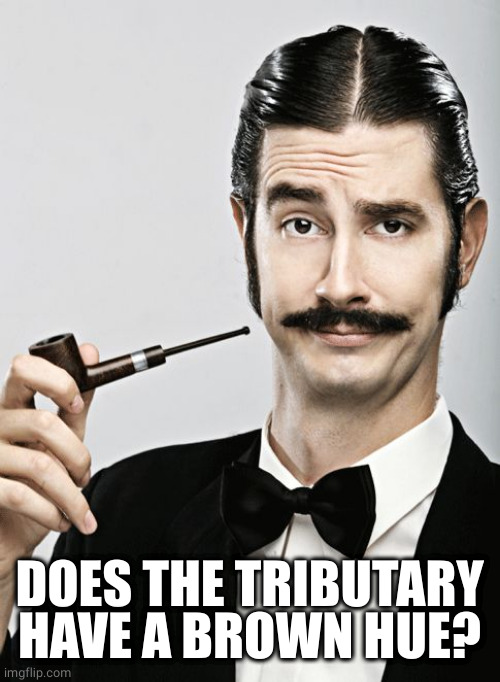snob | DOES THE TRIBUTARY HAVE A BROWN HUE? | image tagged in snob | made w/ Imgflip meme maker