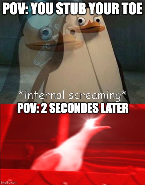 Where do you stub your toe the most? | POV: YOU STUB YOUR TOE; POV: 2 SECONDES LATER | image tagged in private internal screaming,pain,stubbing toes,memes,funny,so true memes | made w/ Imgflip meme maker