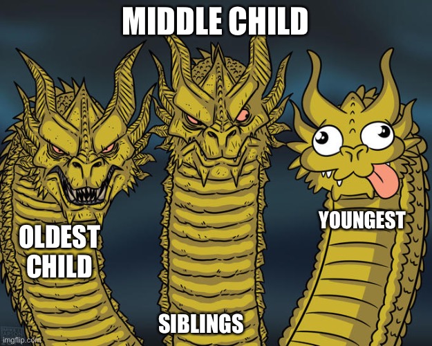 Three-headed Dragon | MIDDLE CHILD; YOUNGEST; OLDEST CHILD; SIBLINGS | image tagged in three-headed dragon | made w/ Imgflip meme maker