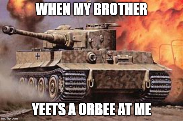 TAAAANKK | WHEN MY BROTHER; YEETS A ORBEE AT ME | image tagged in taaaankk | made w/ Imgflip meme maker