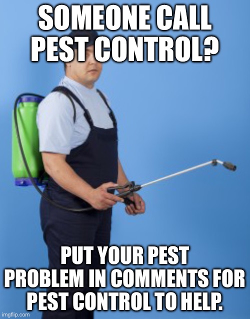 Pest control guy | SOMEONE CALL PEST CONTROL? PUT YOUR PEST PROBLEM IN COMMENTS FOR PEST CONTROL TO HELP. | image tagged in pest control guy | made w/ Imgflip meme maker