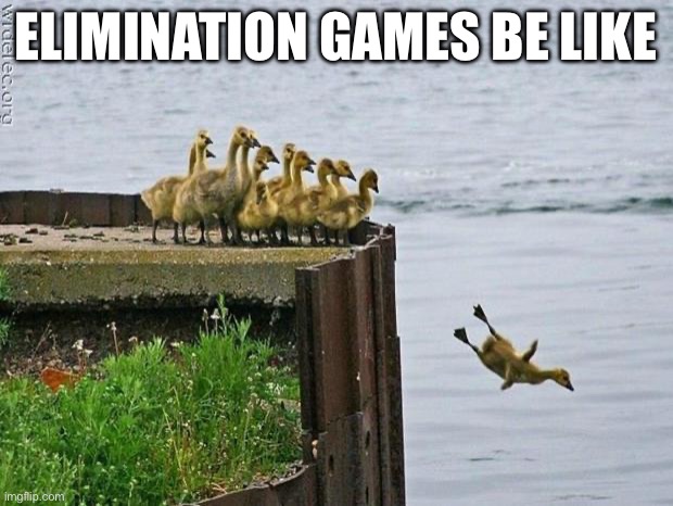 baby ducks | ELIMINATION GAMES BE LIKE | image tagged in baby ducks | made w/ Imgflip meme maker