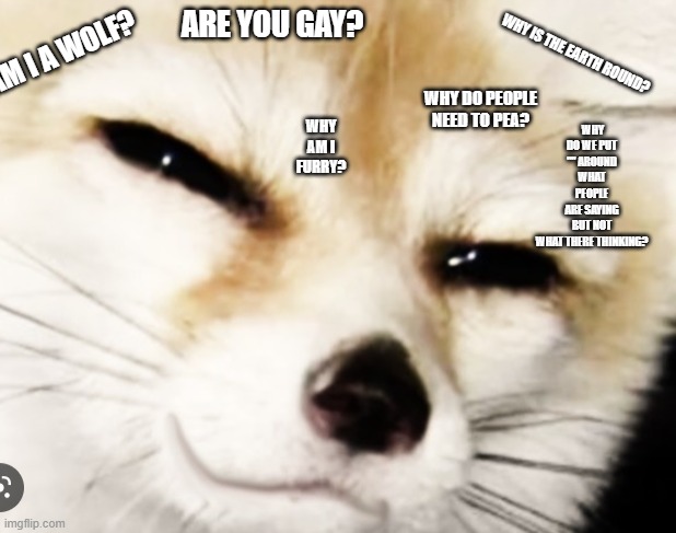 true tho | ARE YOU GAY? AM I A WOLF? WHY DO WE PUT "" AROUND WHAT PEOPLE ARE SAYING BUT NOT WHAT THERE THINKING? WHY IS THE EARTH ROUND? WHY DO PEOPLE NEED TO PEA? WHY AM I FURRY? | image tagged in what you just say | made w/ Imgflip meme maker