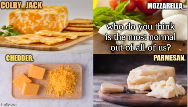 who you think? | who do you think is the most normal out of all of us? | image tagged in cheese | made w/ Imgflip meme maker