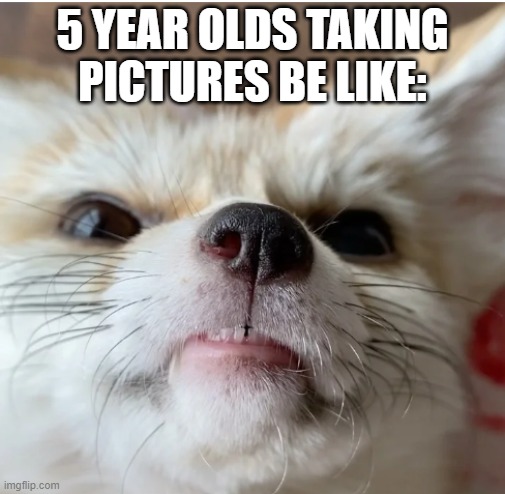 5 year olds takeing pictures be like: | 5 YEAR OLDS TAKING PICTURES BE LIKE: | image tagged in 5 year olds takeing pictures be like | made w/ Imgflip meme maker