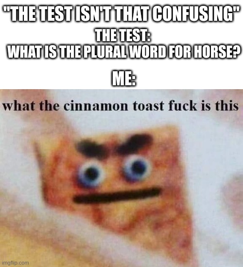 look at all them HEESE | "THE TEST ISN'T THAT CONFUSING"; THE TEST: 
WHAT IS THE PLURAL WORD FOR HORSE? ME: | image tagged in what the cinnamon toast f is this | made w/ Imgflip meme maker