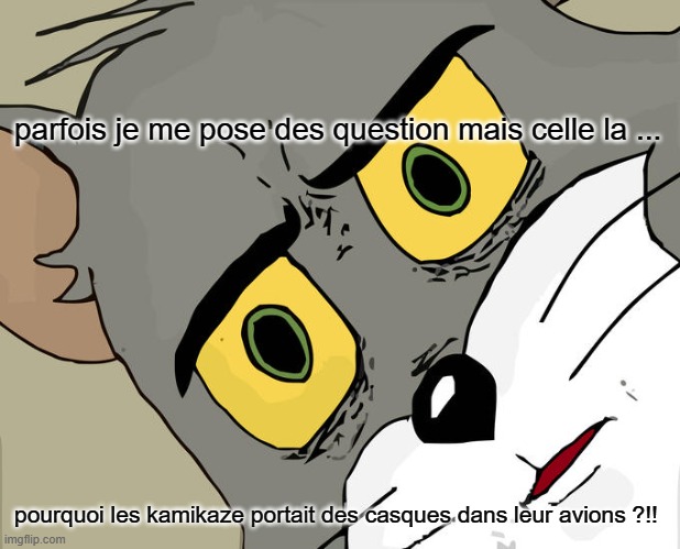 Unsettled Tom | parfois je me pose des question mais celle la ... pourquoi les kamikaze portait des casques dans leur avions ?!! | image tagged in memes,unsettled tom | made w/ Imgflip meme maker