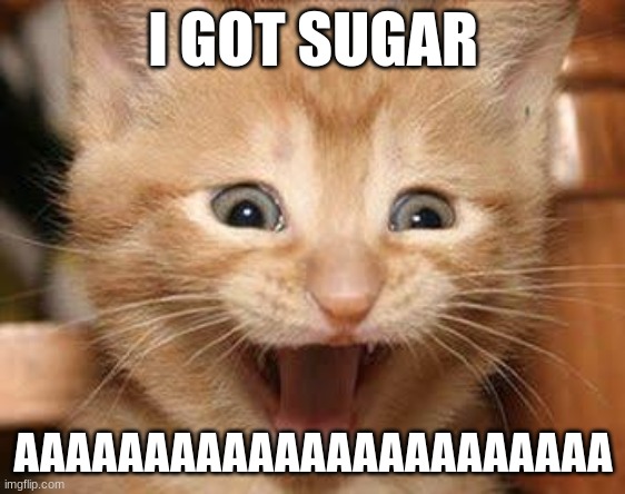 sugar |  I GOT SUGAR; AAAAAAAAAAAAAAAAAAAAAAA | image tagged in memes,excited cat | made w/ Imgflip meme maker