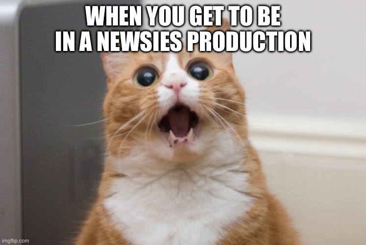AGHHHHHHHHHHH I CAN’T WAITTTTT | WHEN YOU GET TO BE IN A NEWSIES PRODUCTION | image tagged in amazed cat,newsies | made w/ Imgflip meme maker