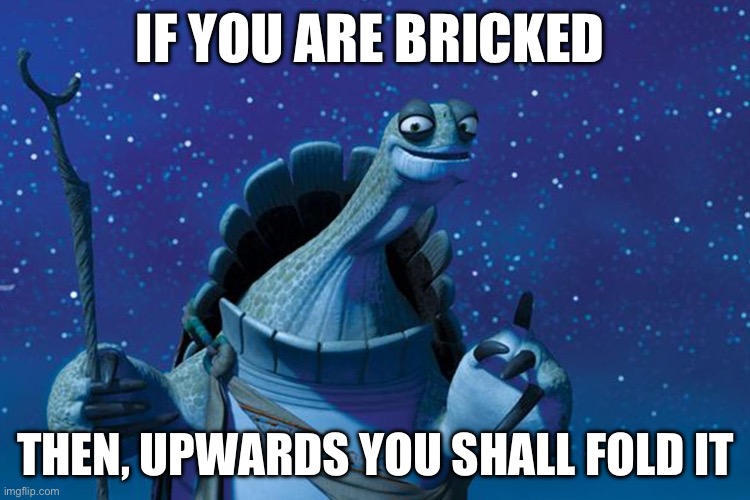 Master Oogway | IF YOU ARE BRICKED; THEN, UPWARDS YOU SHALL FOLD IT | image tagged in master oogway | made w/ Imgflip meme maker