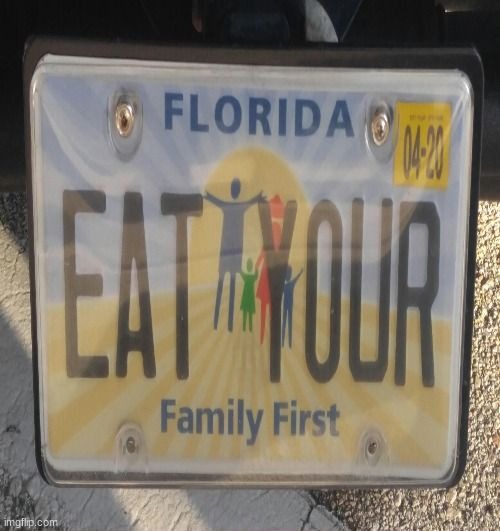 average-license-plate-in-florida-imgflip