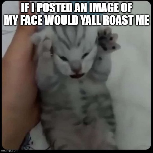 :) | IF I POSTED AN IMAGE OF MY FACE WOULD YALL ROAST ME | made w/ Imgflip meme maker