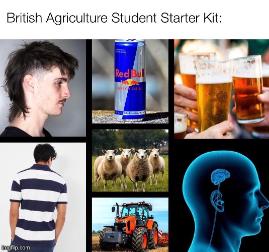 image tagged in memes,funny | made w/ Imgflip meme maker