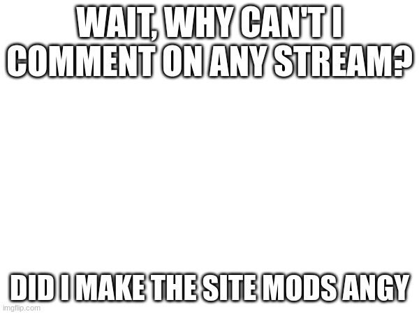 L | WAIT, WHY CAN'T I COMMENT ON ANY STREAM? DID I MAKE THE SITE MODS ANGY | image tagged in image | made w/ Imgflip meme maker