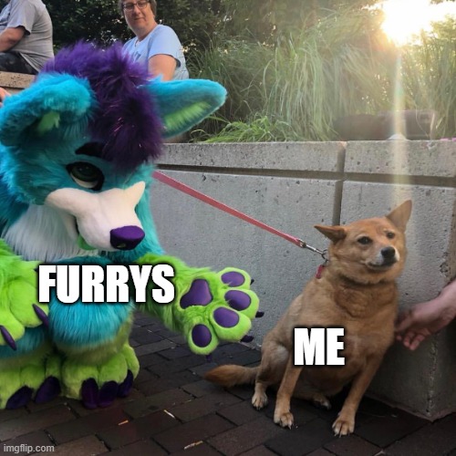 Dog afraid of furry | FURRYS ME | image tagged in dog afraid of furry | made w/ Imgflip meme maker