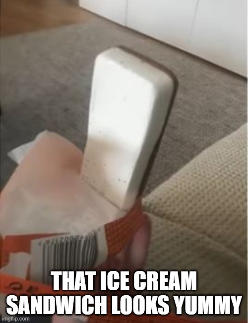 Incomplete | THAT ICE CREAM SANDWICH LOOKS YUMMY | image tagged in you had one job | made w/ Imgflip meme maker