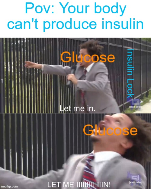 I literally just sent this meme to my teacher, she said she admires my creativity :) | Pov: Your body can't produce insulin; Glucose; Insulin Lock; Glucose | image tagged in let me in,memes,science,you know i'm something of a scientist myself,oh wow are you actually reading these tags | made w/ Imgflip meme maker
